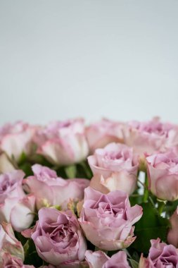 Pembe gül buketi kopya alanı beyaz zemin üzerine, yakın çekim