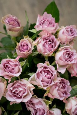 Pembe gül buketi yakın çekim 