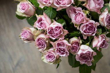 Pembe gül buketi kopya alanı kat zemin üzerine, yakın çekim