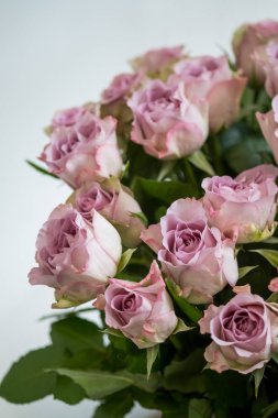 Pembe gül buketi kopya alanı beyaz zemin üzerine, yakın çekim