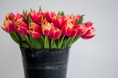 kırmızı lale çiçek buketi kopya alanı ile beyaz arka planda siyah kova