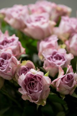 Pembe gül buketi yakın çekim 