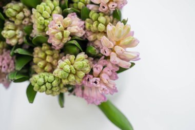 kopya alanı beyaz zemin üzerine taze sümbül çiçek Üstten Görünüm