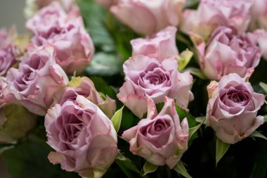 Pembe gül buketi yakın çekim 