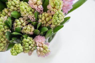 kopya alanı beyaz zemin üzerine taze sümbül çiçek Üstten Görünüm