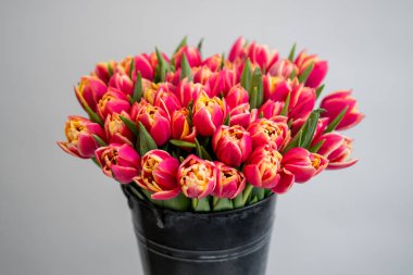 kırmızı lale çiçek buketi kopya alanı ile beyaz arka planda siyah kova