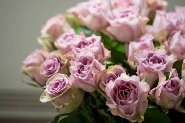 Pembe gül buketi gri arka plan üzerinde yakın çekim