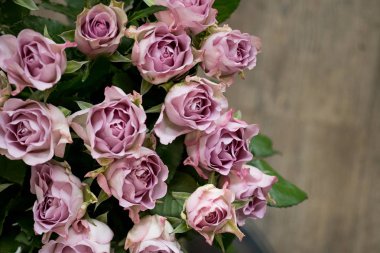 Pembe gül buketi kopya alanı kat zemin üzerine, yakın çekim