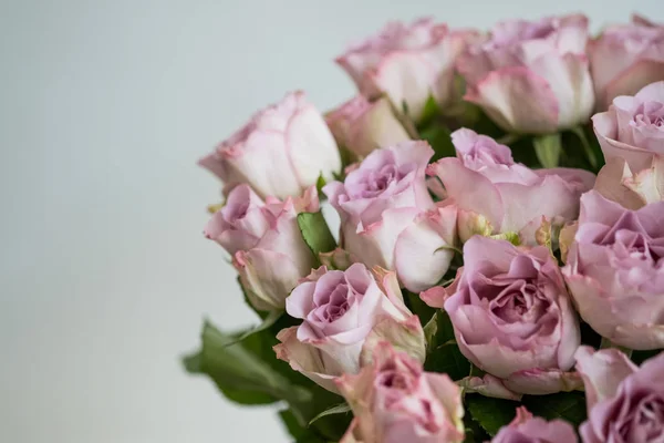 Kytice Růžových Růží Bílém Pozadí Kopií Prostoru Zblízka — Stock fotografie
