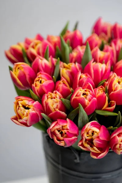 güzel kırmızı lale buketi kopya alanı beyaz zemin üzerine