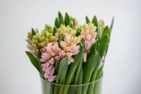 Färsk Våren Hyacinter Blommor Bukett Vas Vit Bakgrund Närbild — Stockfoto