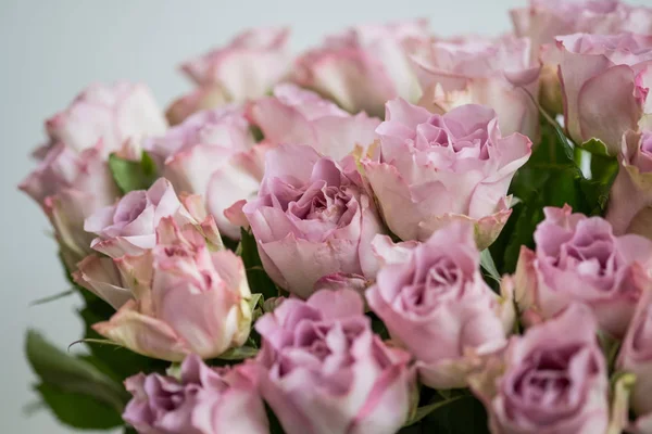 Rosa Rosor Bukett Grå Bakgrund Närbild — Stockfoto