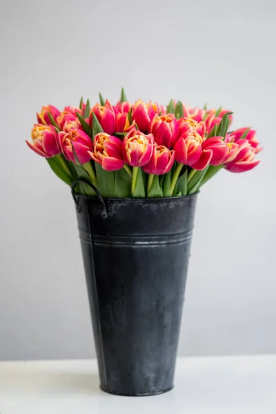 red tulips flowers bouquet in black bucket on white background with copy space