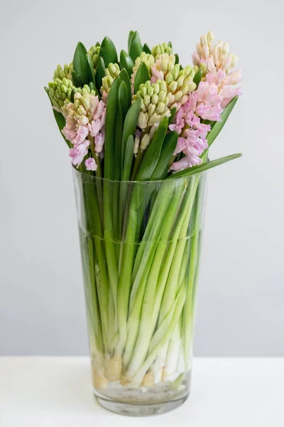 Čerstvé Jarní Hyacinty Květiny Kytice Váze Bílém Pozadí — Stock fotografie
