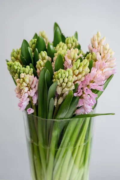 Frische Frühlingshyazinthen Blumenstrauß Der Vase Auf Weißem Hintergrund Nahaufnahme — Stockfoto
