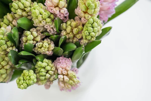 kopya alanı beyaz zemin üzerine taze sümbül çiçek Üstten Görünüm