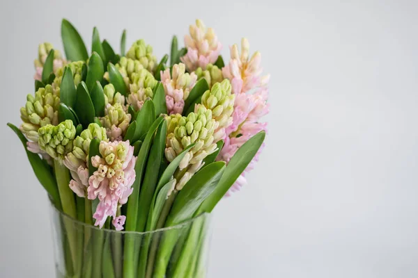 Čerstvé Jarní Hyacinty Květiny Kytice Váze Bílém Pozadí Zakryjte Kopie — Stock fotografie