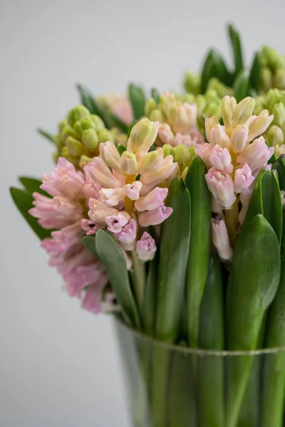 Farbige Hyazinthen Blumenstrauß Der Vase Nahaufnahme Mit Kopierraum — Stockfoto
