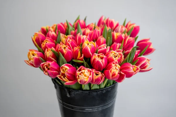 kırmızı lale çiçek buketi kopya alanı ile beyaz arka planda siyah kova