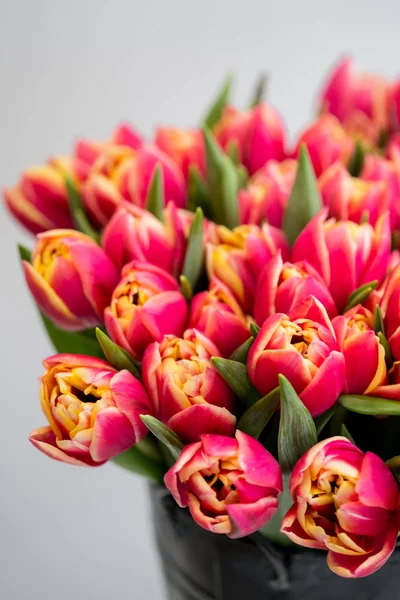 Krásné Červené Tulipány Kytice Bílém Pozadí Kopií Prostor — Stock fotografie