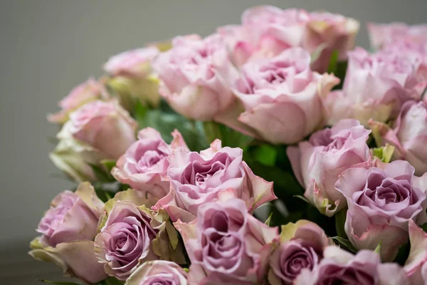Pink Roses Bouquet Grey Background Close — Stock Photo, Image