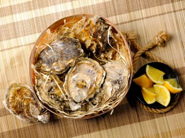 ip ve rustik tablo kopya alanı, üstten görünüm taze çiğ istiridyelerin kase