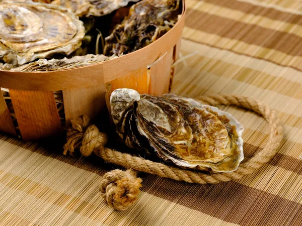 Rope Bowl Fresh Raw Oysters Rustic Table Copy Space Crop Stock Picture