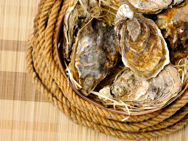 Close Fresh Oysters Wooden Bowl Rope Stock Image