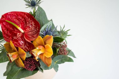 renkli buket güzel rustik üstten görünüm beyaz arka plan üzerinde