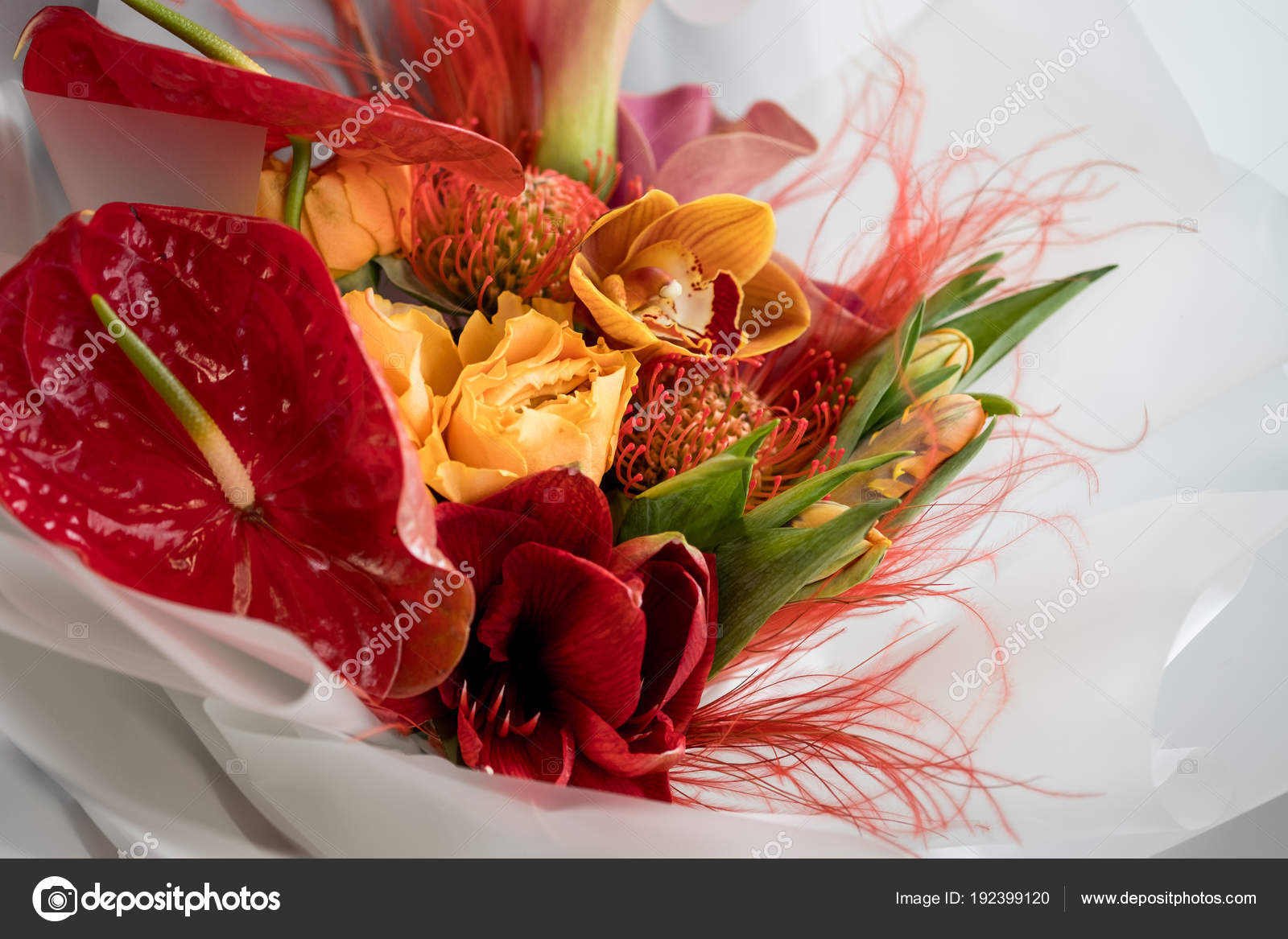 Brillant Bouquet Fleurs Exotiques Rouges Photographie
