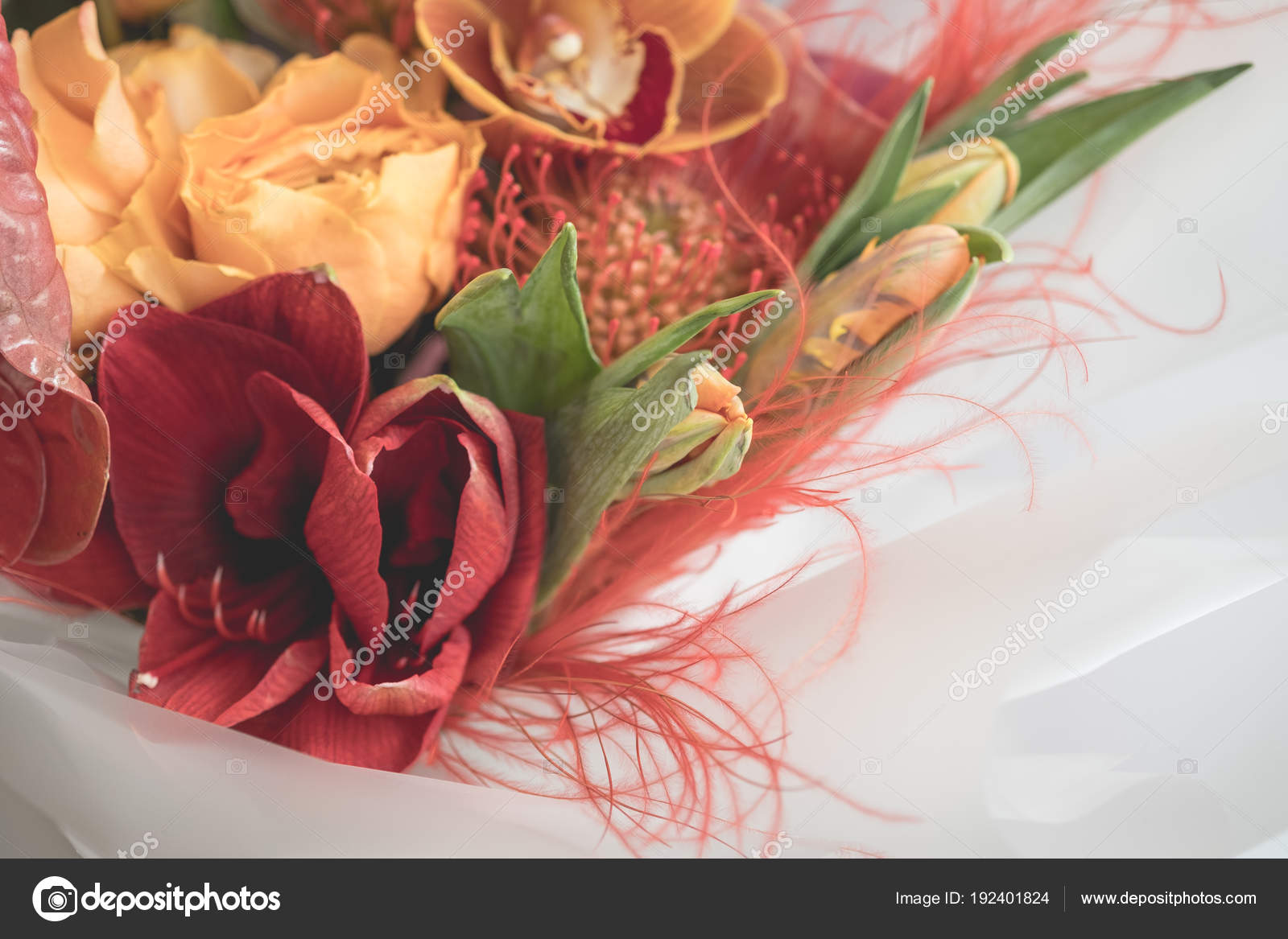Brillant Bouquet Fleurs Exotiques Rouges Photographie