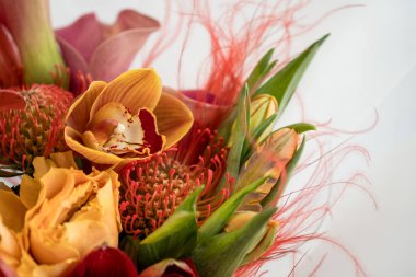 Parlak kırmızı egzotik çiçekler buket