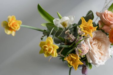 yakın çekim fotoğraf arka plan üzerinde güzel bahar çiçek