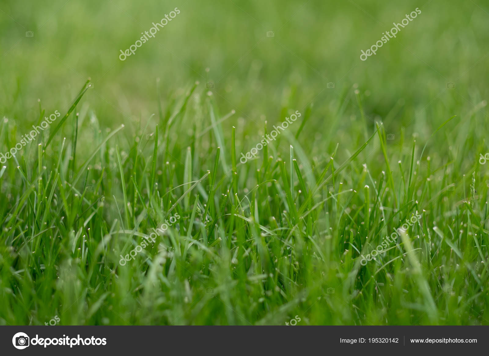 Keep off the grass sign. Трава с боку. Keep off the grass sign. Картинка keep off. He the grass for an hour.