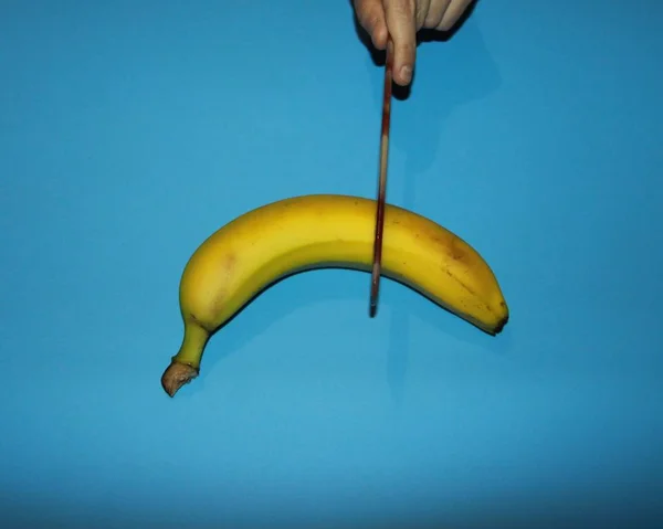 fingers holding a comb over a banana shows the division