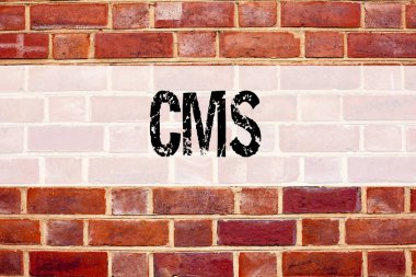 Kavramsal duyuru metni resim yazısı ilham Cms kopya alanı eski tuğla zemin üzerine yazılmış Www için CMS. iş kavramı gösterilen