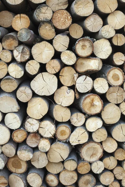 Κομμένο δέντρο κορμούς και κλαδιά σε διαφορετικά μεγέθη, συσσωρεύονται επάνω στο μπλε δοχείο αποθήκευσης ξύλο βιομηχανία ξυλείας — Φωτογραφία Αρχείου