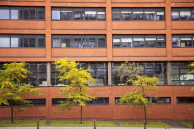 Wolverhampton içinde pencere eşiği ile eski kırmızı tuğla duvar