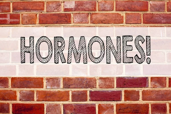 Conceptual announcement text caption inspiration showing Hormones. Business concept for Hormone Pill written on old brick background with copy space — Stock Photo, Image