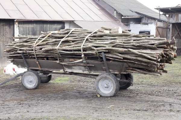 Remorque pleine de bois de feu coupé vieux chariot d'agriculteurs à la campagne polonaise vie rurale — Photo