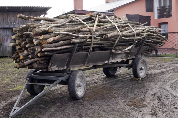 Трейлер, полный нарезанной дровами старомодной фермерской тележки в сельской жизни Польши — стоковое фото
