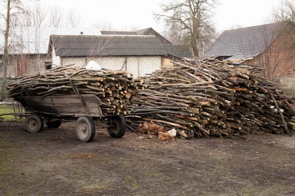 Aanhangwagen vol met gehakte brandhout oude ouderwetse boeren kar op Polands platteland plattelandsleven — Stockfoto