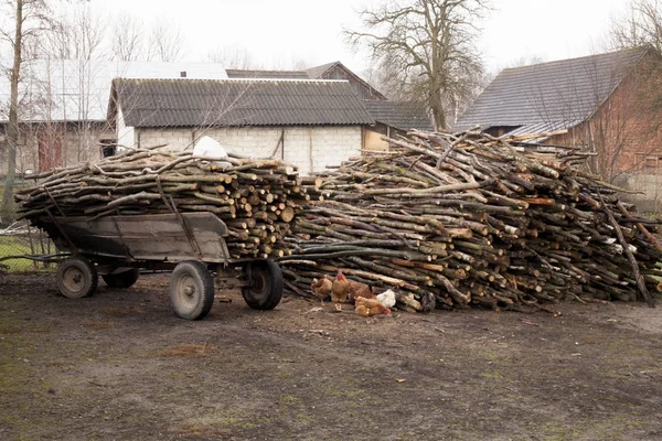 Trailer pełna posiekane drewna starego stylu rolników koszyka o zwyciężczyni krajobrazu wiejskiego — Zdjęcie stockowe