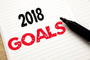 2018 gol. Finansal planlama, iş stratejisi ile pen marker kitap arka plan üzerinde kopya alanı ile defter üzerinde yazılı için iş kavramı