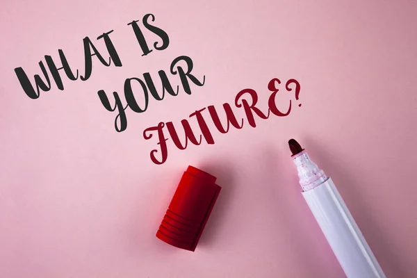 Fogalmi kézi írás, mutatja, mi van a jövő kérdése. Bemutató, ahol látod magad a következő években írt sima rózsaszín háttér Marker mellette üzleti fotó. — Stock Fotó