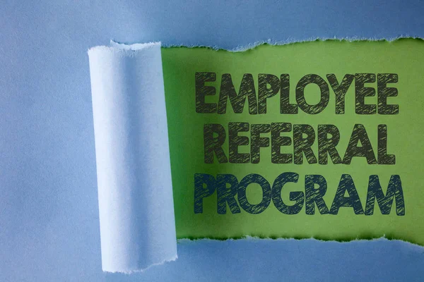 Konceptuální ručně psaného textu zobrazeno Employee Referral Program. Obchodní text strategie fotopráce povzbuzují zaměstnavatele prostřednictvím ceny napsal pod Odtrhněte složený papír na obyčejné zelené pozadí. — Stock fotografie