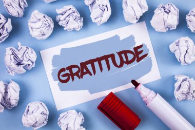 El yazısı metin Şükran. Kalite müteşekkir takdir minnet düz arka plan Marker kağıt topları içinde boyalı yapışkan not kağıdına yazılmış kabul olmanın anlamı kavramı.