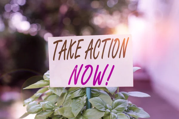 Handwriting text writing Take Action Now. Concept meaning do something official or concerted achieve aim with problem Plain empty paper attached to a stick and placed in the green leafy plants. — Stock Photo, Image