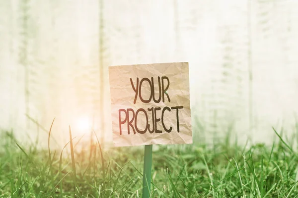 Conceptual hand writing showing Your Project. Business photo text series of tasks that need to be completed to reach an outcome Plain paper attached to stick and placed in the grassy land.