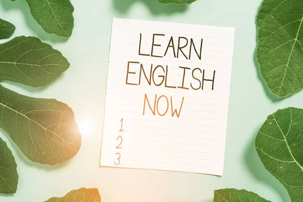 Conceptual hand writing showing Learn English Now. Business photo text gain or acquire knowledge and skill of english language Leaves surrounding notepaper above empty soft pastel table. — 스톡 사진